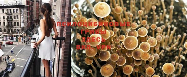 кокаин колумбия Абаза