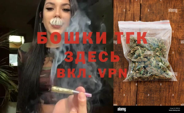 сатива Переславль-Залесский