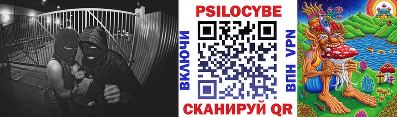 Псилоцибиновые грибы мицелий  магазин  наркотиков  Кингисепп 