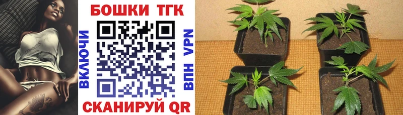 MEGA онион  Кингисепп  Канабис White Widow 